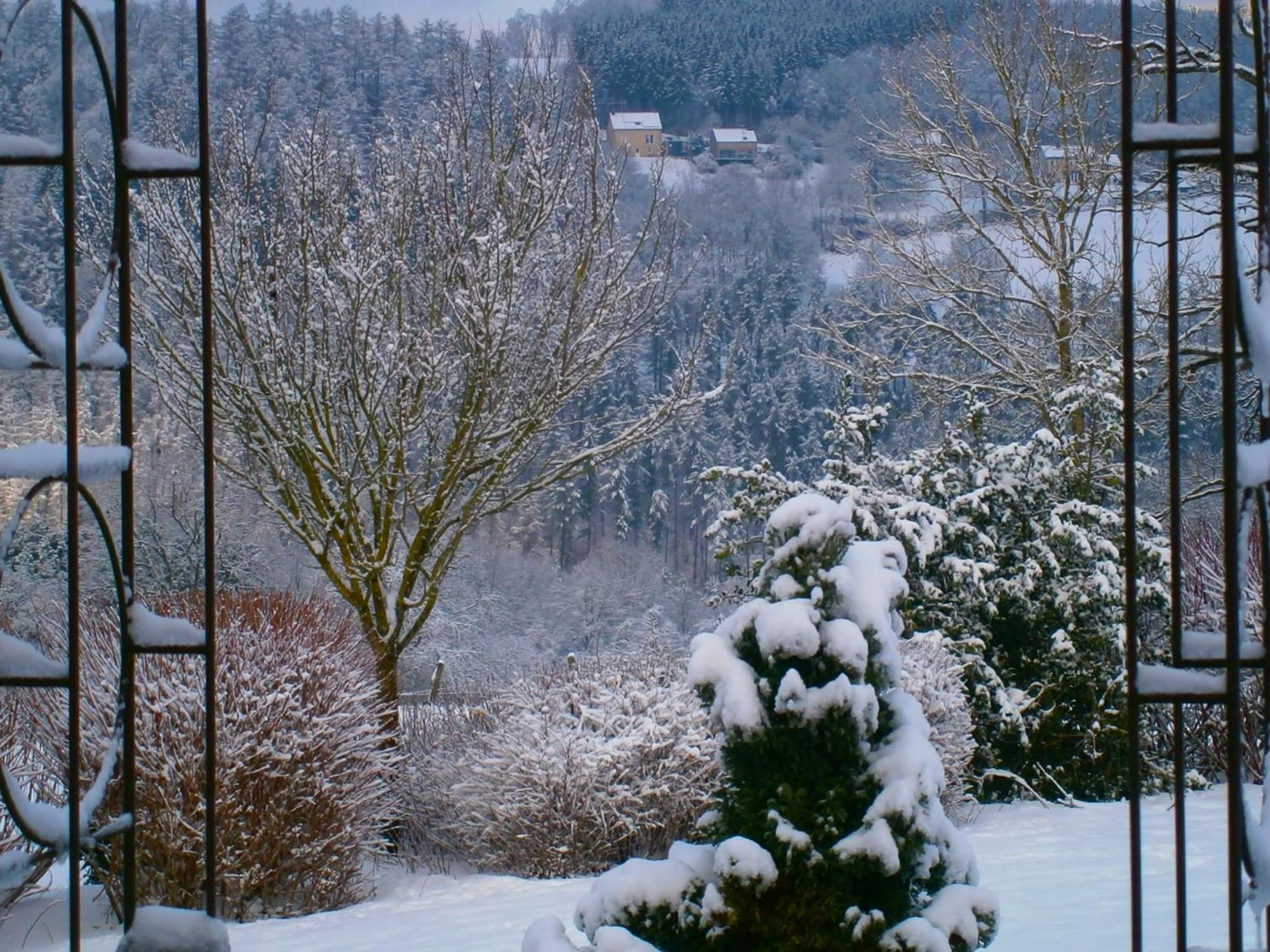 Le Renard'Or Panzió Trois-Ponts Kültér fotó