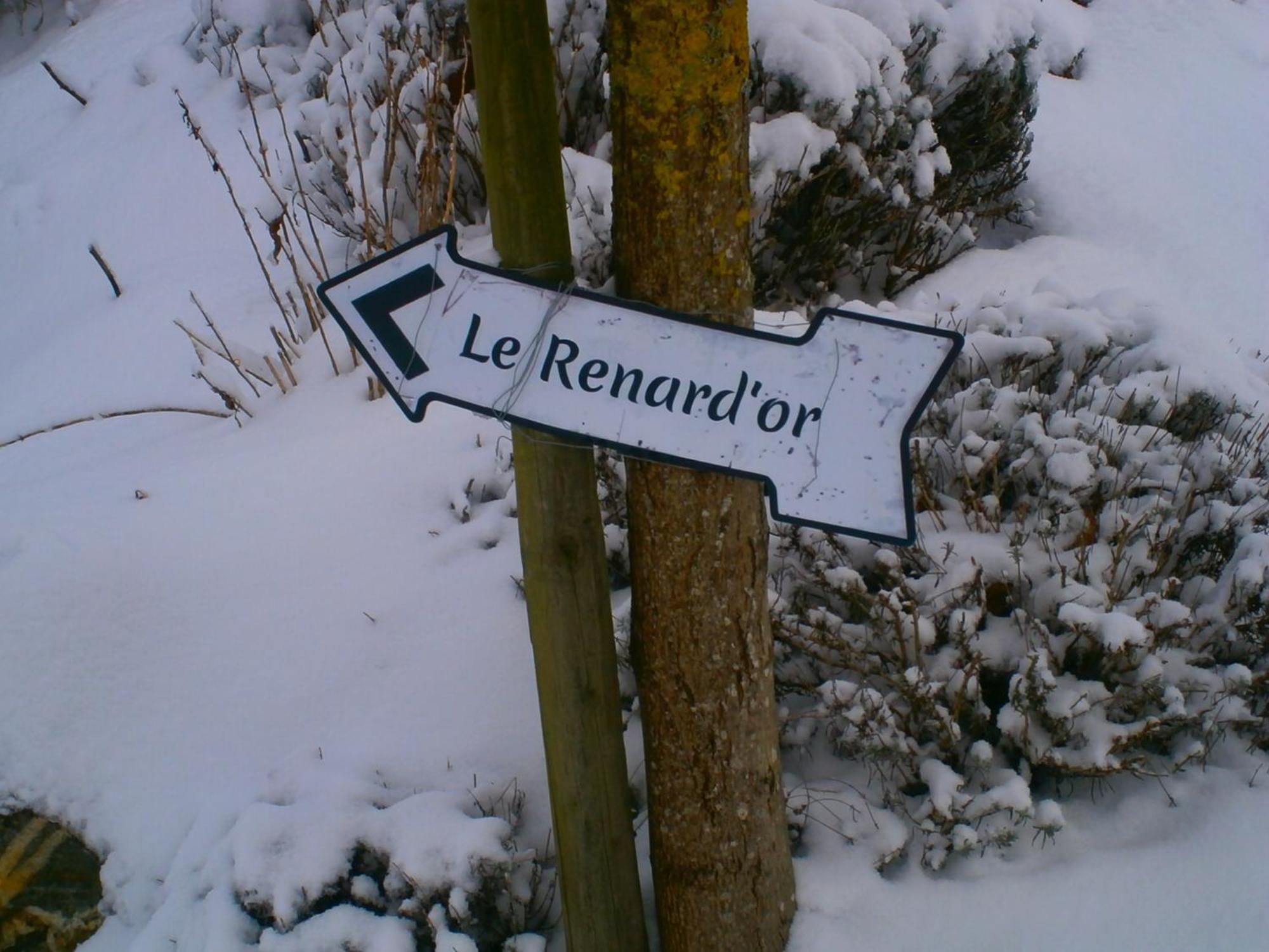Le Renard'Or Panzió Trois-Ponts Kültér fotó